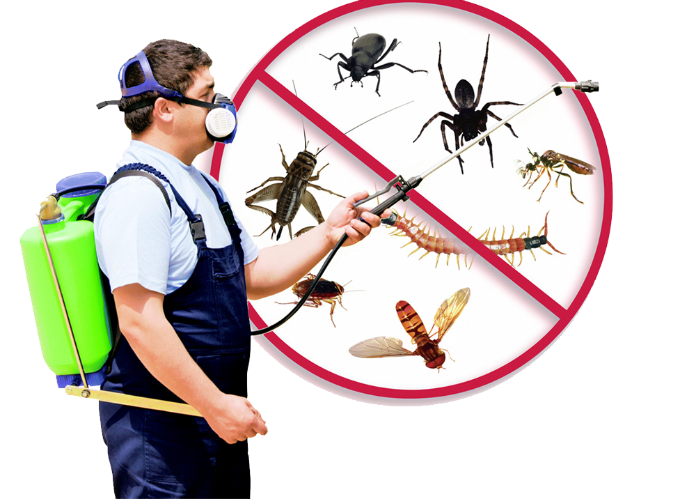 Pest Control Services in trichy